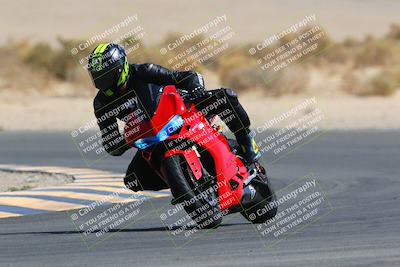 media/Mar-28-2022-Superbike Trackdays (Mon) [[b8603d0f67]]/Open Track Time/Turn 16/